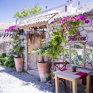 https://filizce-konuk-evi.aegeanhotels.net